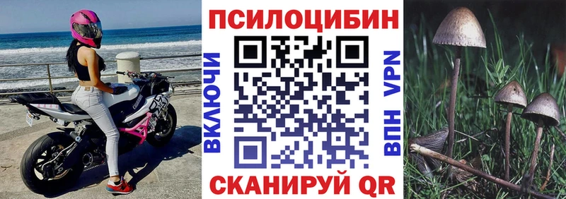 Псилоцибиновые грибы Psilocybe купить наркотики сайты Крымск