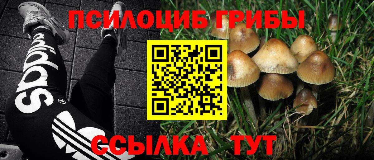 Галлюциногенные грибы GOLDEN TEACHER Крымск
