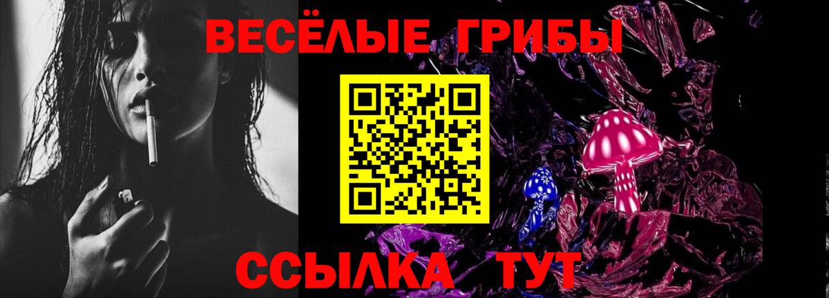 Крымск  Галлюциногенные грибы GOLDEN TEACHER  Галлюциногенные грибы MAGIC MUSHROOMS  что такое наркотик  Вход с VPN 