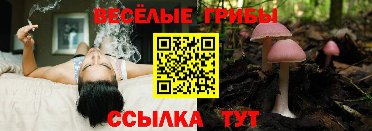 Псилоцибиновые грибы Psilocybe  Галлюциногенные грибы мухоморы  купить   Крымск 